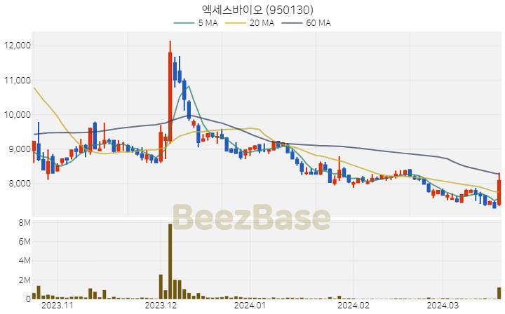 [주가 차트] 엑세스바이오 - 950130 (2024.03.20)