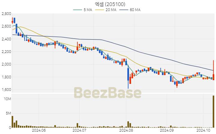 엑셈 주가 분석 및 주식 종목 차트 | 2024.10.11