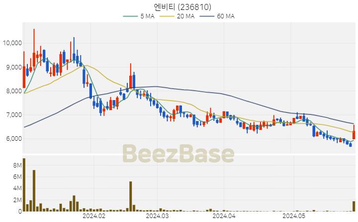 엔비티 주가 분석 및 주식 종목 차트 | 2024.05.30