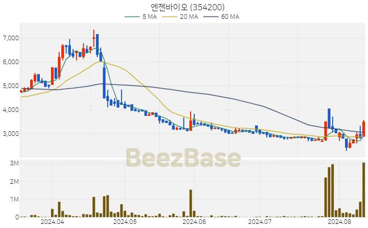 엔젠바이오 주가 분석 및 주식 종목 차트 | 2024.08.12