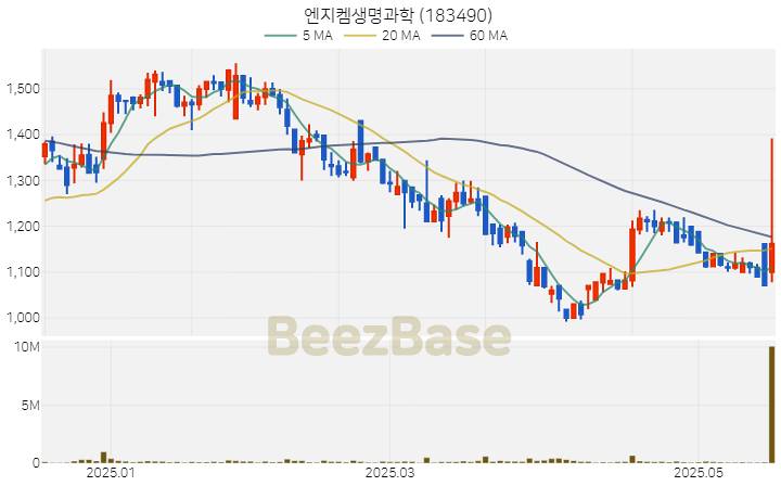 엔지켐생명과학 주가 분석 및 주식 종목 차트 | 2025.05.20