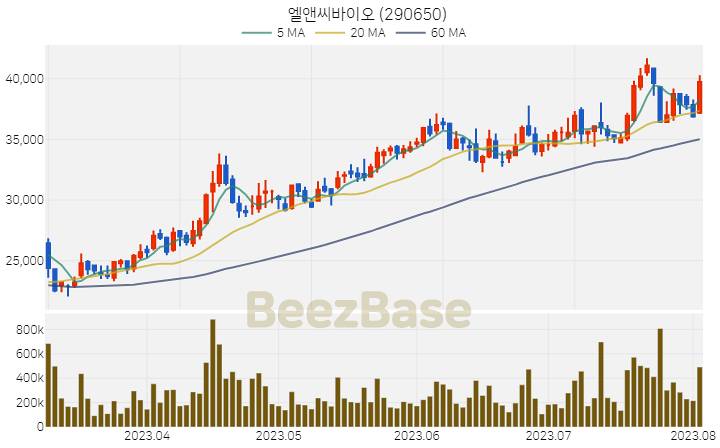 엘앤씨바이오 주가 분석 및 주식 종목 차트 | 2023.08.03