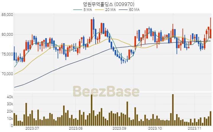 [주가 차트] 영원무역홀딩스 - 009970 (2023.11.14)