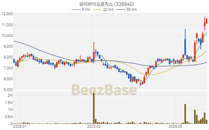 [주가 차트] 와이바이오로직스 - 338840 (2025.05.28)