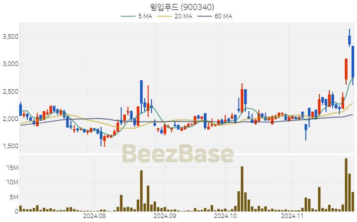 윙입푸드 주가 분석 및 주식 종목 차트 | 2024.11.27