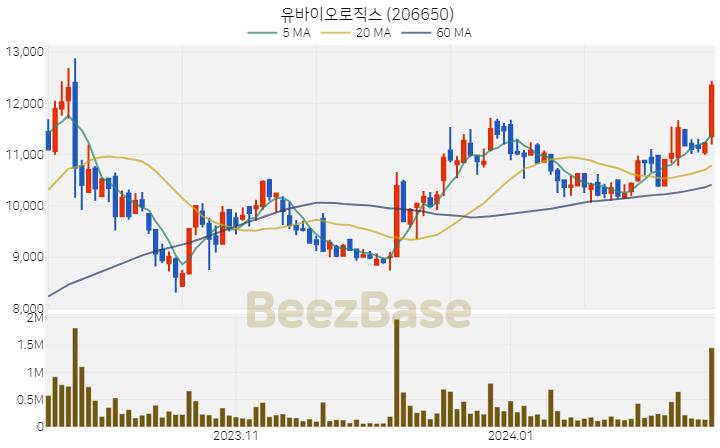 [주가 차트] 유바이오로직스 - 206650 (2024.02.15)