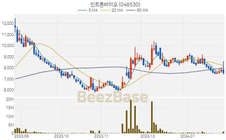 인트론바이오 주가 분석 및 주식 종목 차트 | 2024.01.25