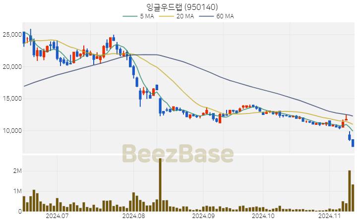 잉글우드랩 주가 분석 및 주식 종목 차트 | 2024.11.12