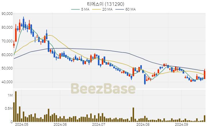 티에스이 주가 분석 및 주식 종목 차트 | 2024.09.23