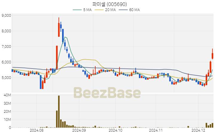 파미셀 주가 분석 및 주식 종목 차트 | 2024.12.11