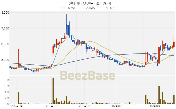 현대바이오랜드 주가 분석 및 주식 종목 차트 | 2024.08.20