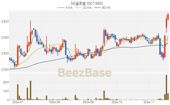 SG글로벌 주가 분석 및 주식 종목 차트 | 2024.11.19