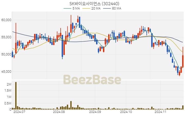 SK바이오사이언스 주가 분석 및 주식 종목 차트 | 2024.11.20